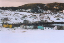 482: Red Island harbour. "What a place to go sliding" (circa 2000) [courtesy of Madonna (Bishop) Mulrooney]